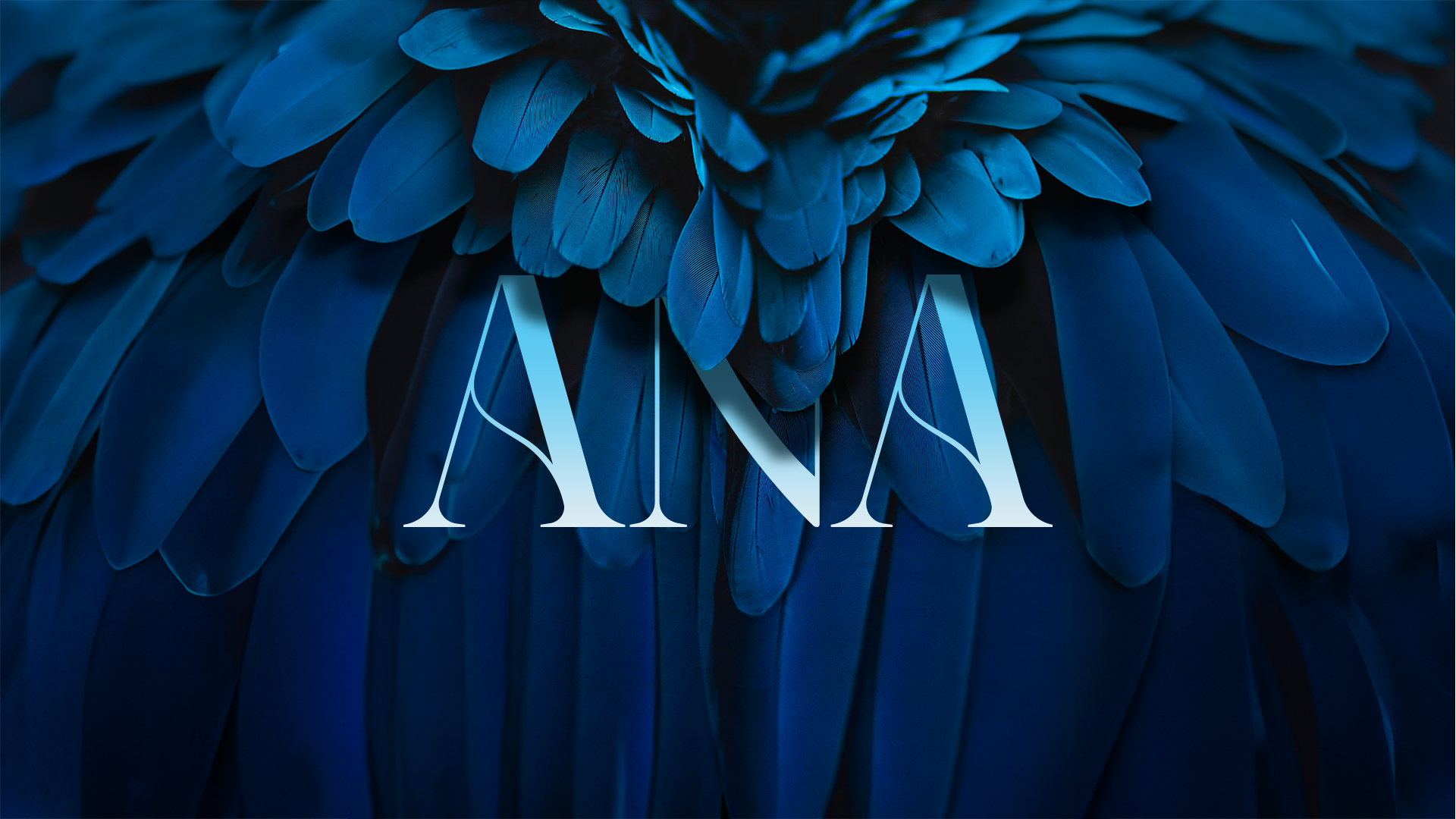 Image de plumes bleu profond et du logo entre deux couches.