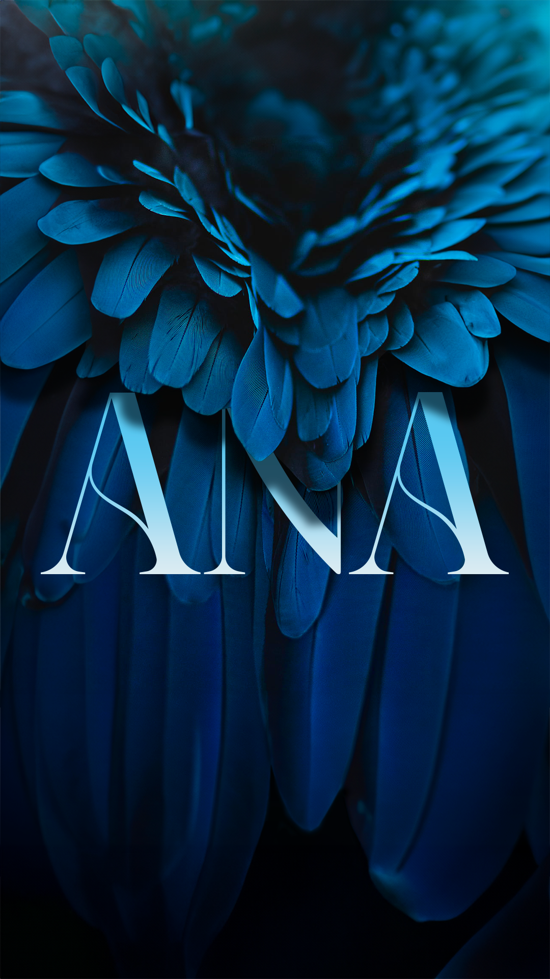 Image de plumes bleu profond et du logo entre deux couches.